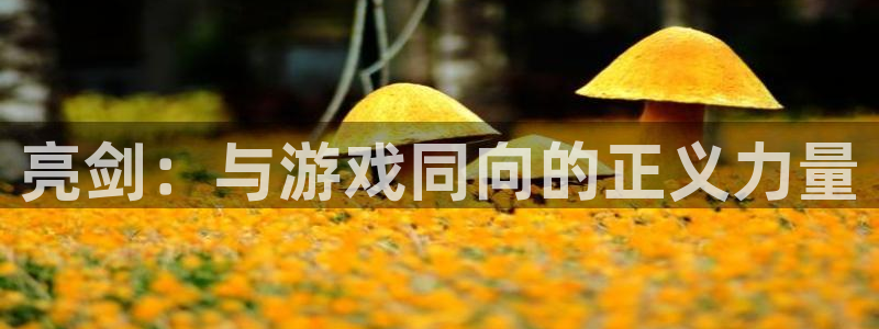 usdt怎么转入imtoken钱包
