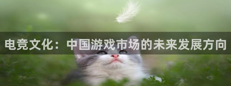 usdt冷钱包怎么提币出来